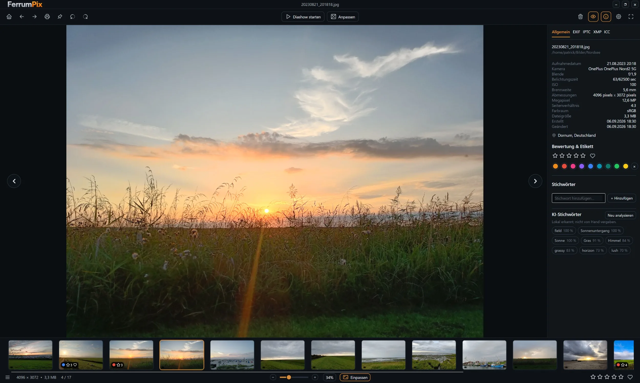 FerrumPix 项目截图 2